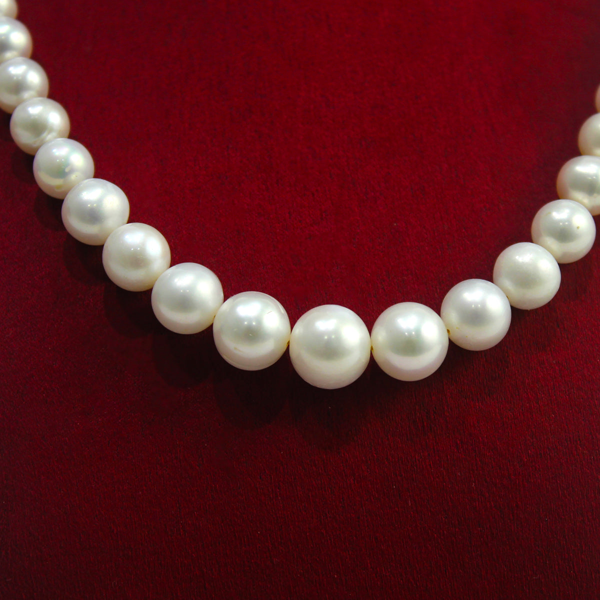 Single Layer White and Peach Freshwater Pearl Necklace - Maya Bazaar
