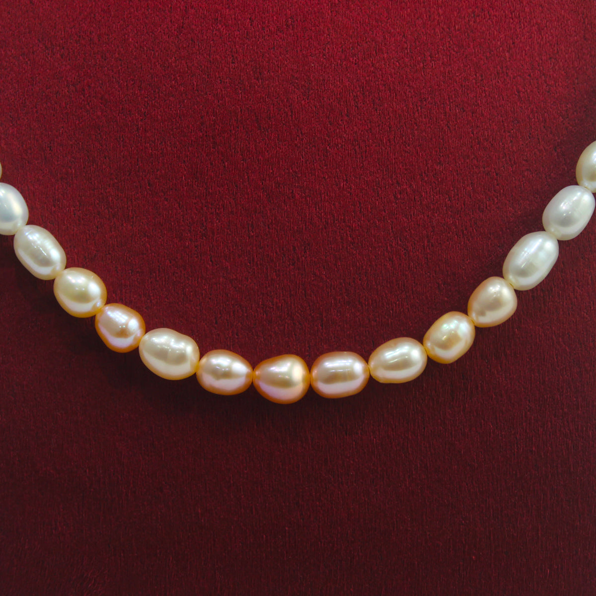Multi-colour Freshwater Button shaped pearl necklace -Maya Bazaar