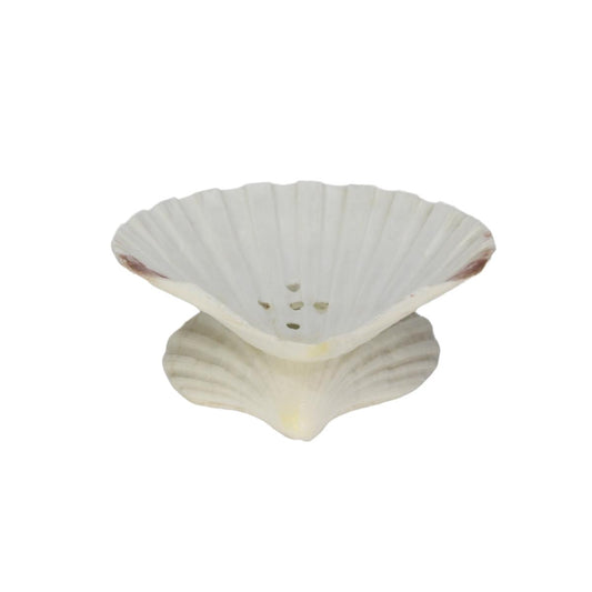 Decorative Seashell Show Pieces For Home Decor Item Soap Agarpathi Stand For Home & Office-Maya Bazaar