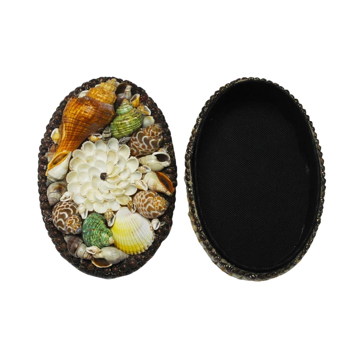 Vintage Oval Shaped Seashell Decorative Jewelry Box Seashell Show Pieces For Home Decor-Maya Bazaar