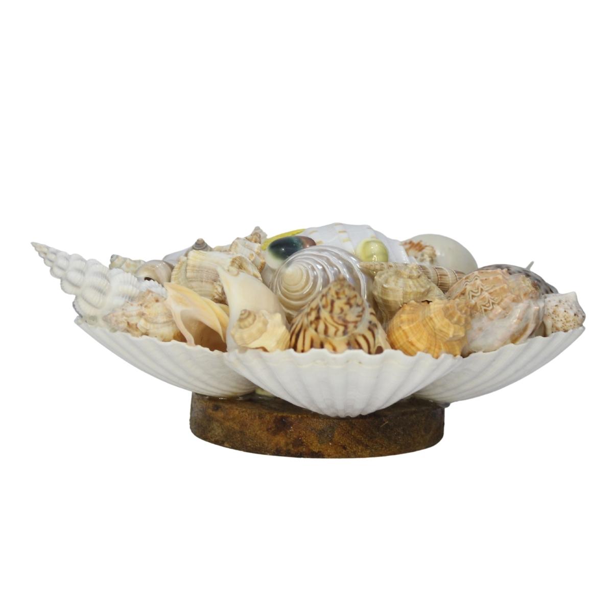 Decorative Mixed Sea Shell Stand Craft-Maya Bazaar