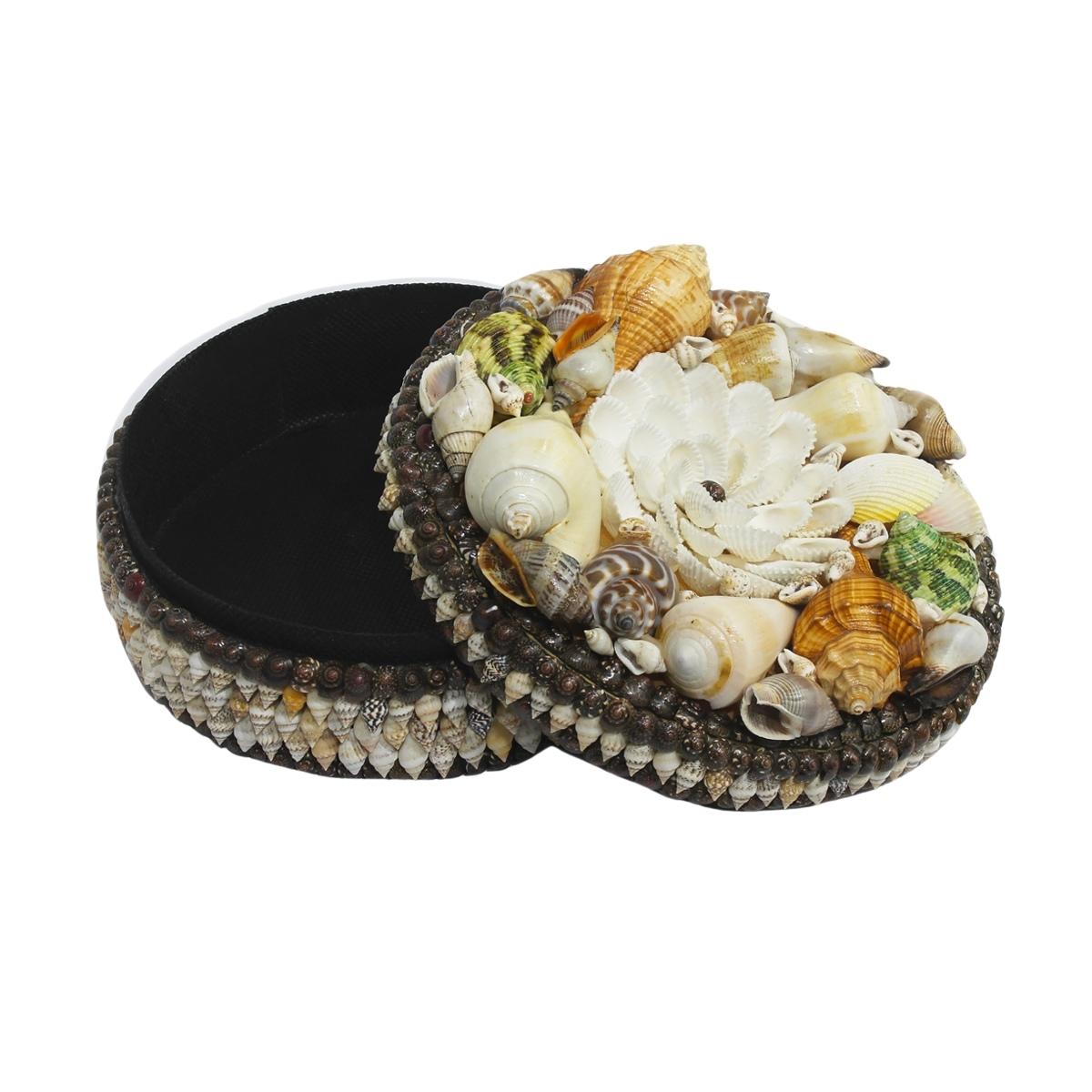Vintage Circle Shaped Seashell Decorative Jewelry Box Seashell Show Pieces For Home Decor Item-Maya Bazaar