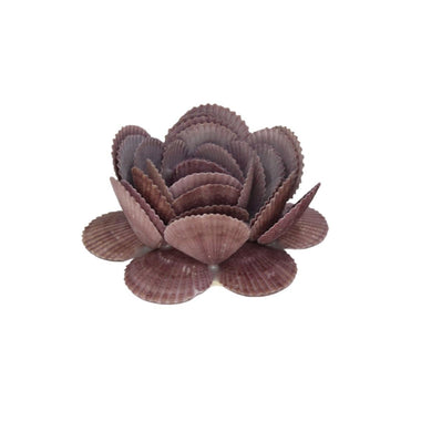 Natural Colour Vintage Seashell Show Pieces for Home Decor Item-Maya Bazaar