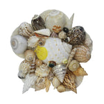 Decorative Mixed Sea Shell Stand Craft-Maya Bazaar