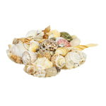 Natural Mixed Sea Shell Stand Craft-Maya Bazaar