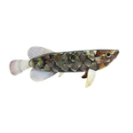 Maya Bazaar Golden Mother of Pearl(MOP) Seashell Fish Sculpture for Home & Office-Maya Bazaar