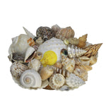 Decorative Mixed Sea Shell Stand Craft-Maya Bazaar