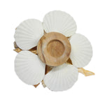 Natural Mixed Sea Shell Stand Craft-Maya Bazaar