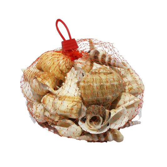 collective seashell from mahaballipuram beach| Fish Tank Seashell| 1 bag-Maya Bazaar